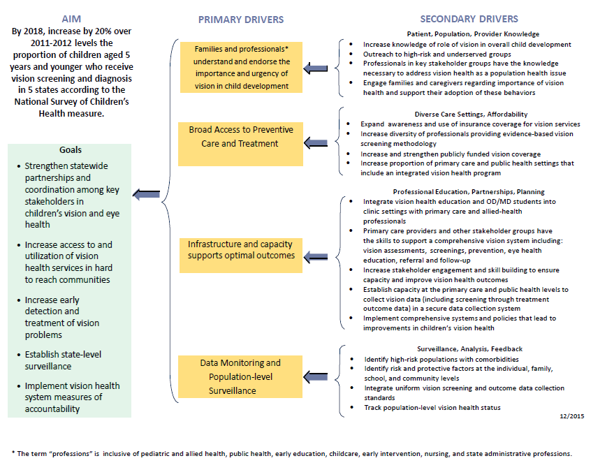 Public Health System Driver Diagram to Increase Detection and Diagnosis of Vision Impairment in Children Aged 5 Years and Younger