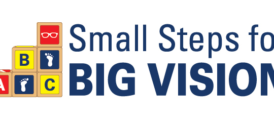 Small Steps for Big Vision