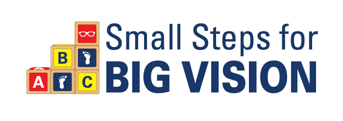 Small Steps for Big Vision